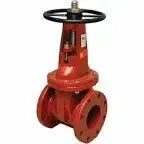 2-1/2" Kennedy RW Flange X Grooved OSY Fire Tool