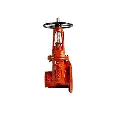 Wilkins OS&Y Gate Valve