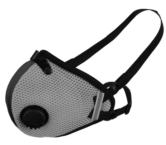 RZ Mask M2.5 Mesh Mask with Active Carbon