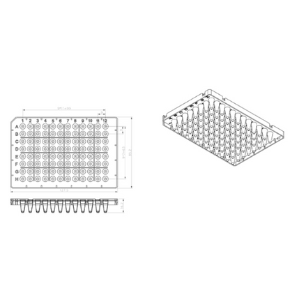 0.1ML PCR Plate 96 wells-white (Half-skirted)