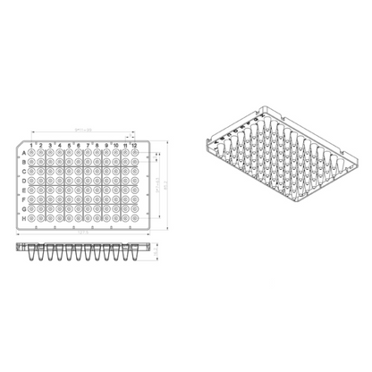 0.2ml PCR Plate 96 wells- Transparent (Half-SKirted)