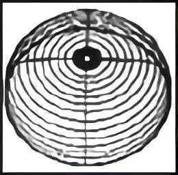 10" Bell Guard For Fire Protection Safety Shield