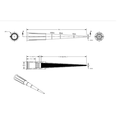 200ul Boxed Filter tips (4,800 Tips)