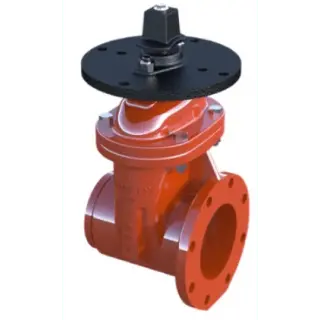 3" Kennedy RW Grooved OS&Y Gate Valve
