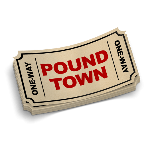 Pound Town Ticket - Hard Hat Decal
