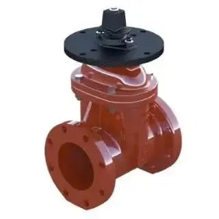4" Kennedy Flange NRS Gate Valve for Fire Protection