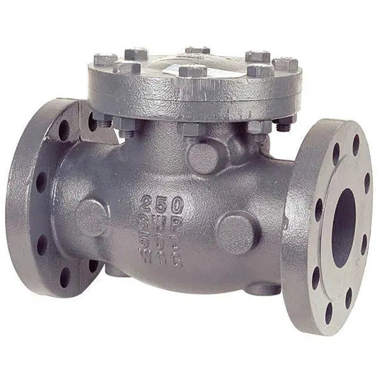 6" Flanged Swing Check Cast Iron NIBCO Valve