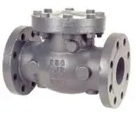 6" Flanged Swing Check Cast Iron NIBCO Valve