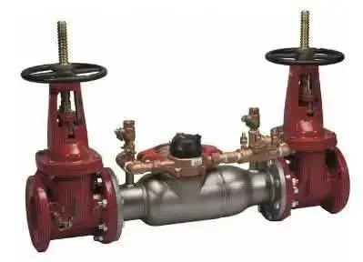 Watts Series 3000SS Double Check Detector Assembly for Fire Protection Systems