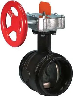 2" Reduced Pressure Backflow Valve With Supervised Switch