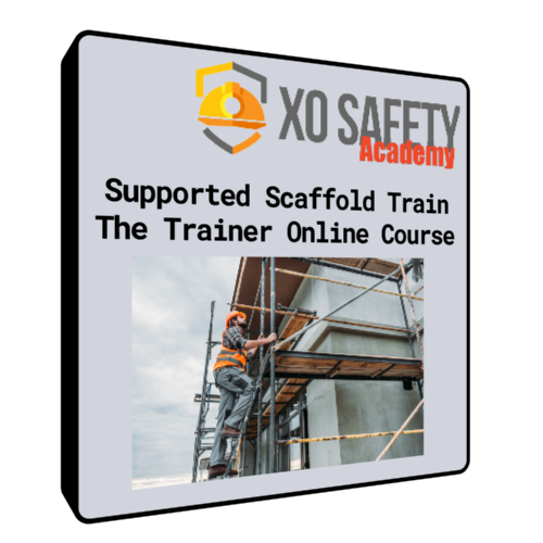 Supported Scaffold Train The Trainer  Online Course