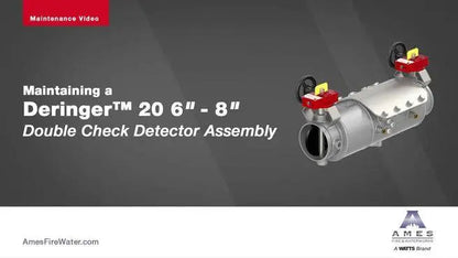 20" Deringer Low Head Loss Double Check Valve Assembly