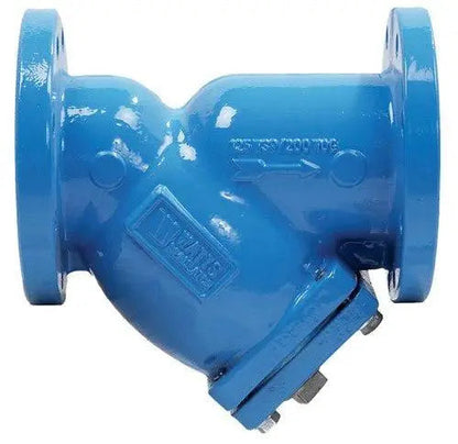 Flanged Wye Pattern Cast Iron Strainer for Liquid Steam