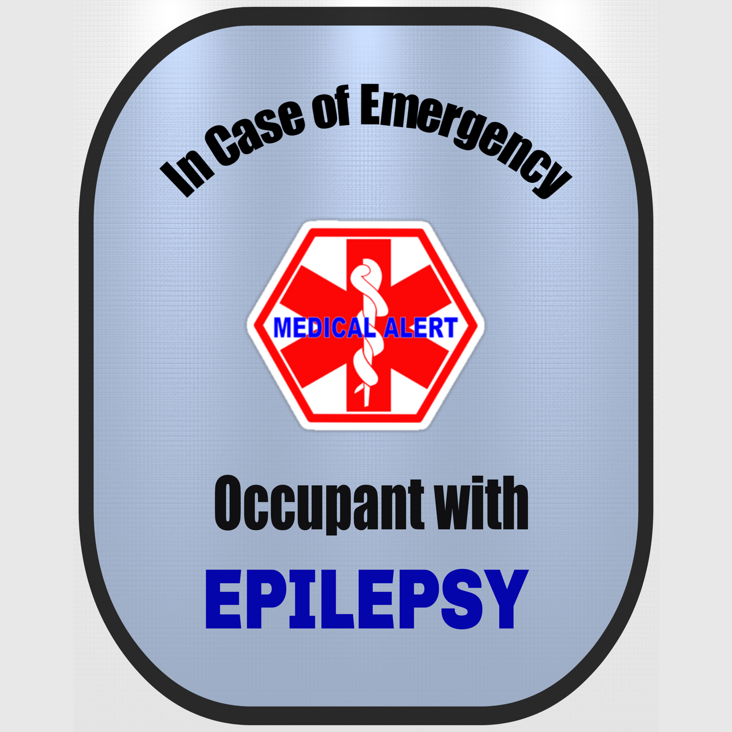 Epilepsy Medical Alert Seat Belt Cover - Window Decal Set