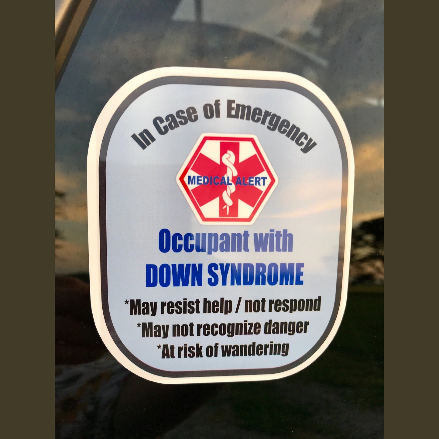 Down Syndrome Decal Medical Alert Safety Sticker