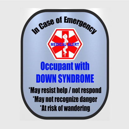 Down Syndrome Backpack Strap - Car Seat Strap Cover - Window Decal Set