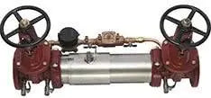 Maxim Series M300 2" Double Check Detector Assembly