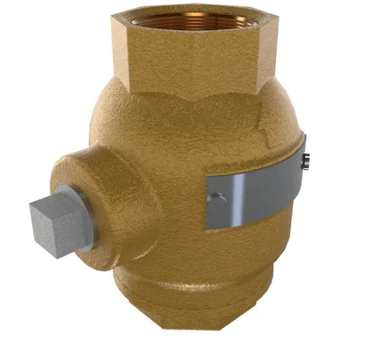 3/8" Spring Loaded Check Valve for Fire Protection Systems