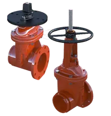 OSY Flanged Gate Valve 350psi Resilient Wedge 2" NRS
