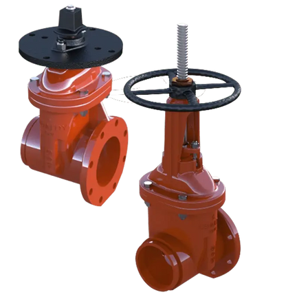 OSY Flanged Gate Valve 350psi Resilient Wedge 2" NRS