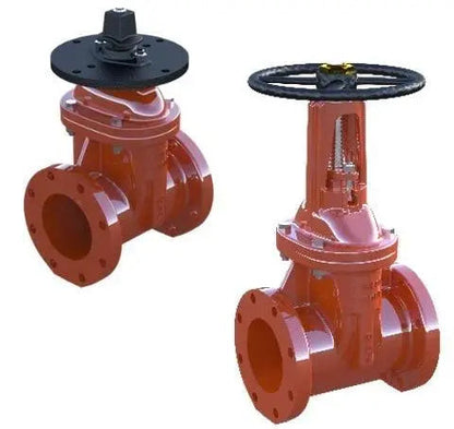OSY Flanged Gate Valve 350psi Resilient Wedge 2" NRS