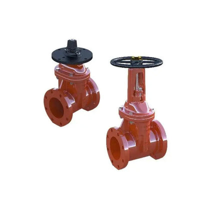 OSY Flanged Gate Valve 350psi Resilient Wedge 2" NRS