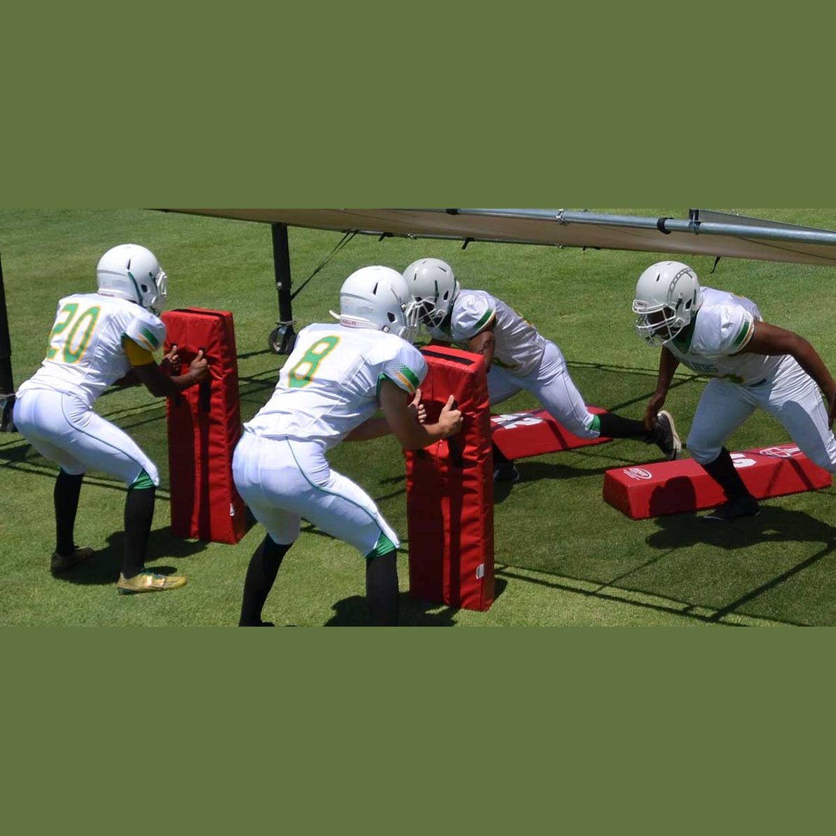 SO Series - Step Over Dummies