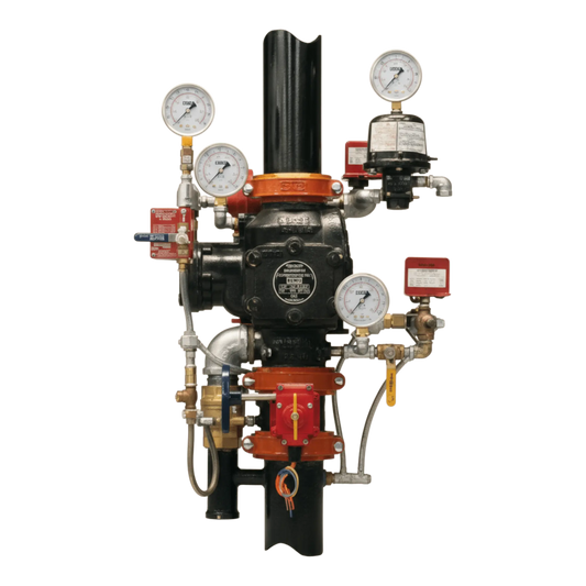 Reliable Fire Protection Valves, LP, w/Switches 6DDXFLPR