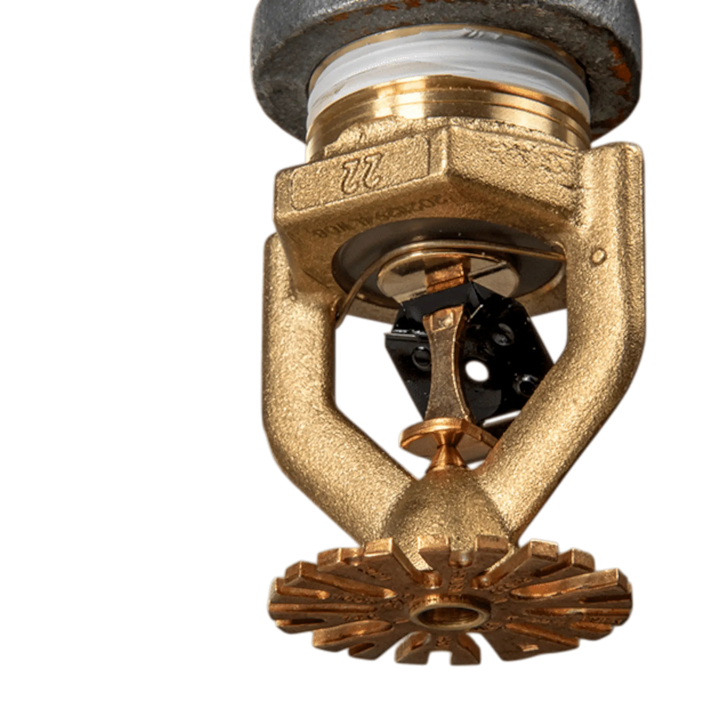ESFR Pendent Sprinkler Head K22 1-inch (25mm) Threaded Model P22
