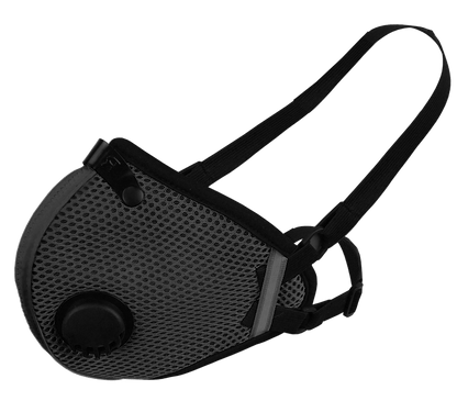 RZ Mask M2.5 Mesh Mask with Active Carbon