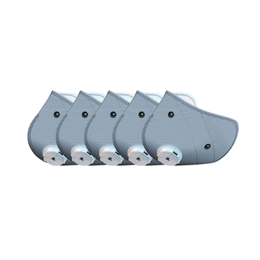 RZM3 FFP2 Filter with Active Carbon 5-pack