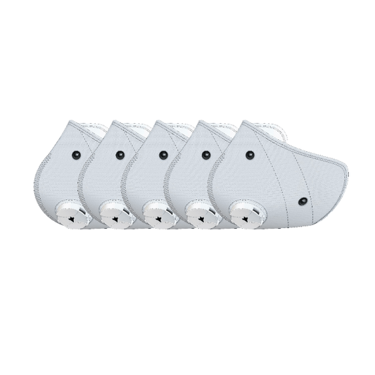RZM3 FFP2 Filter W/No Active Carbon 5-pack