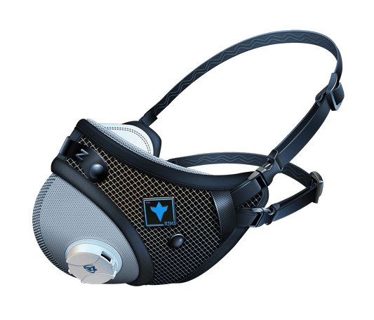 RZM3 FFP2 Mask w/ CE Certification