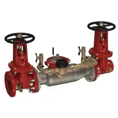 Watts Series 3000SS Double Check Detector Assembly for Fire Protection Systems